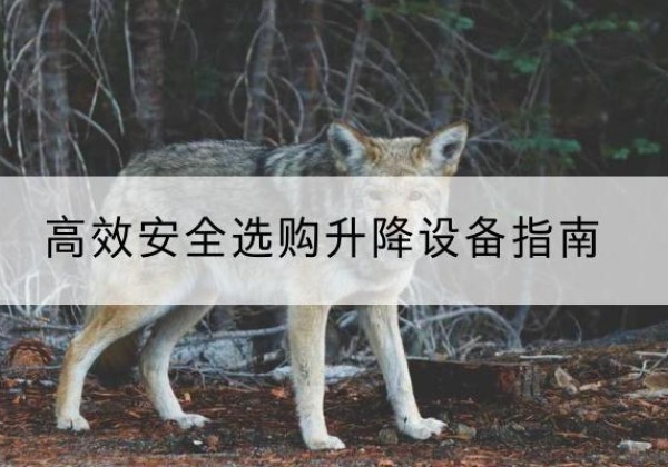 米林升降货梯厂家推荐-*安全选购升降设备指南