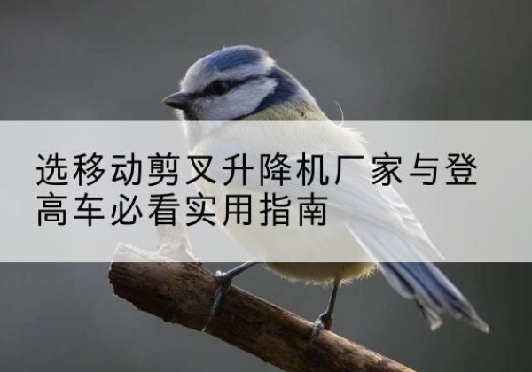 米林电动升降机厂家-选移动剪叉升降机厂家与登高车必看实用指南