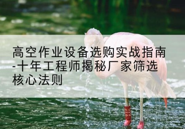 米林剪叉式升降机厂家-高空作业设备选购实战指南-十年工程师揭秘厂家筛选核心法则